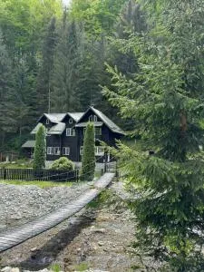 Cabana dintre Văi - Runcu