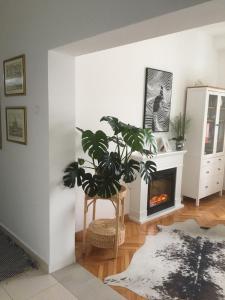 Boka view Heritage Apartment