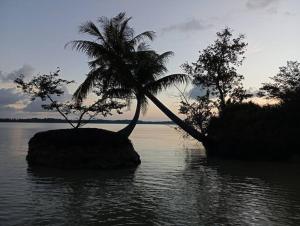 Nago Resort Hidden Paradise in Banyak Island