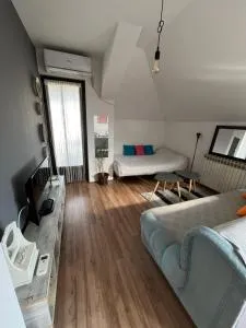 Stan na dan Loznica - Šor