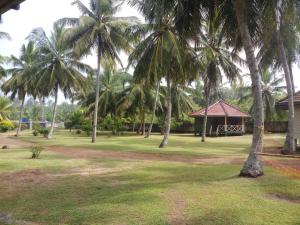Coconut Grove Beach Cabanas