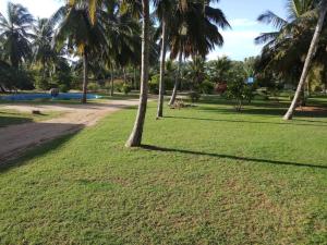Coconut Grove Beach Cabanas