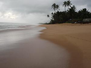 Coconut Grove Beach Cabanas