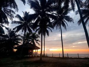 Coconut Grove Beach Cabanas