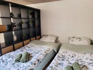 Cozy basement apartment in the center