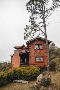 Cabañas del Peñón
