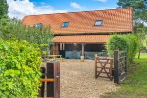 The Roost by Big Skies Cottages - Great Fransham
