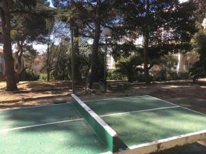 La Mascotte de Sète studio cabine Pking