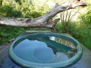 Cosy-Hilltop-Yurt-StunningViews-Nature-HotTub