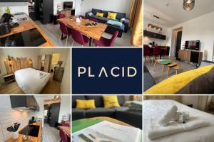 Au Cœur du Marché, Appartement Confort avec Wifi, Centre-ville