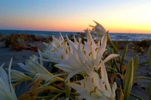 La Maisonette di Eliana - free parking