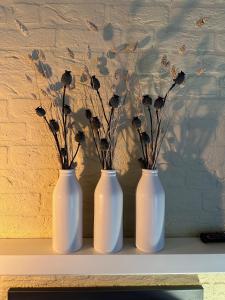 Achterhoekhuisje De Rode Beuk