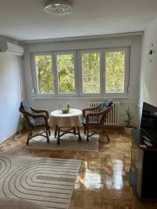 Apartman Tejsi - Tošin Bunar