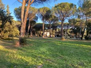 Résidence GABRIELLE Le Cannet des Maures - Vieux-Cannet