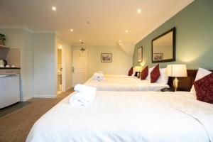 Family Room with Kitchenette room in Marlborough House Hotel - B&B