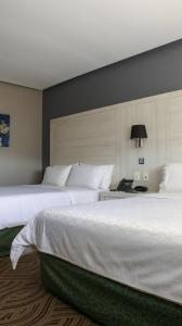 Holiday Inn Express Pachuca by IHG