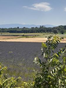 Coeurs en Provence - Ubytování bez kategorie ve městě Suze-la-Rousse