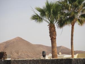 Luxury Canarian villa with large pool in Costa Teguise