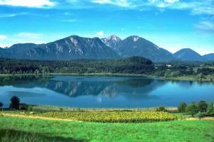 Bed & Breakfast Eckwirt - Unternarrach