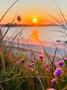 Maisons de vacances Maison Maillots et Bigorneaux, 15 pers, jacuzzi, 40m de la mer : photos des chambres