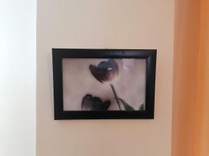 Central Stay Departamentos I