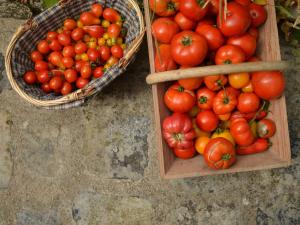 B&B / Chambres d'hotes Chaleureuse chambre double avec acces jardin, WiFi et animaux admis - FR-1-590-490 : photos des chambres