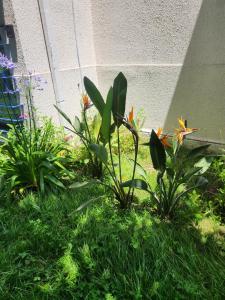 Alojamiento Ñuñoa Estadio Nacional