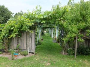 B&B / Chambres d'hotes Chaleureuse chambre double avec acces jardin, WiFi et animaux admis - FR-1-590-490 : photos des chambres