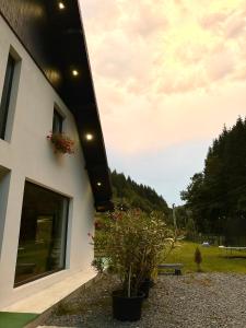 Lighet House Maramures