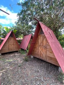 Ballena Oasis Homes & Glamping