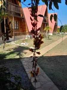 Pousada e Camping Tio Wil - Toledo