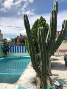 El Rincon Linda llena de vida