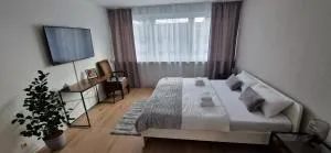 SANO Apartments - Bei Carmen - لودنشايد