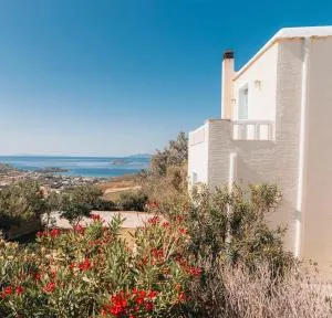 Villa Il Paradiso Andros - Áno Gávrion