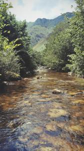 La casina Redes -Tlf 67964 nueve cero tres uno