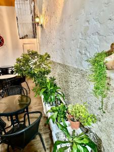 Casa Centro Historico Hotel