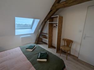 Maisons de vacances Charmant gite pres d-Orleans avec jardin privatif et parking - FR-1-590-524 : photos des chambres
