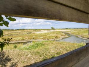 Maisons de vacances Maison de plain-pied avec jardin prive et terrasse a Cabourg - FR-1-788-40 : photos des chambres