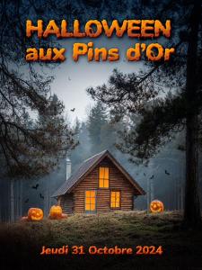 Maisons de vacances Cottage 5 personnes Bias Mimizan : photos des chambres