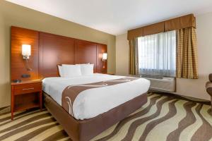King Suite - Accessible/Non-Smoking room in Quality Inn & Suites Stoughton - Madison South