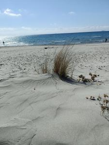 Giarranas House - Apartment with coutyard img18