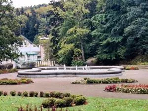 Iwoniczanka - 杜克拉