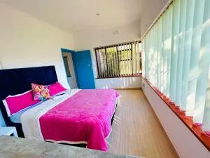 Executive Accommodation Bellville 2 - Blomtuin