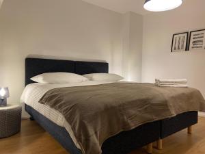 3 BR Duplex in Wiedikon