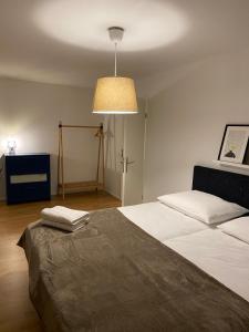 3 BR Duplex in Wiedikon