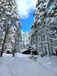 Karinna Orman Evleri & Non Alcohol - 乌鲁达