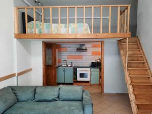 Spacy apartment in Kaunas center