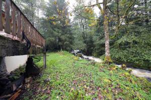 Maisons de vacances L-Eau Vive - Une oase a 5 minutes de Gerardmer : photos des chambres