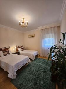 Dreamland Stylish 2BD with a garden and pool access