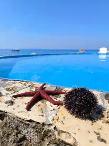 Apartments Anica Beber - Borovići